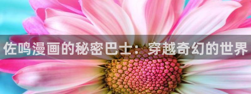 腐漫蛙：佐鸣漫画的秘密巴士：穿越奇幻的世界