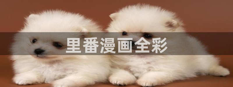 我的漫蛙：里番漫画全彩
