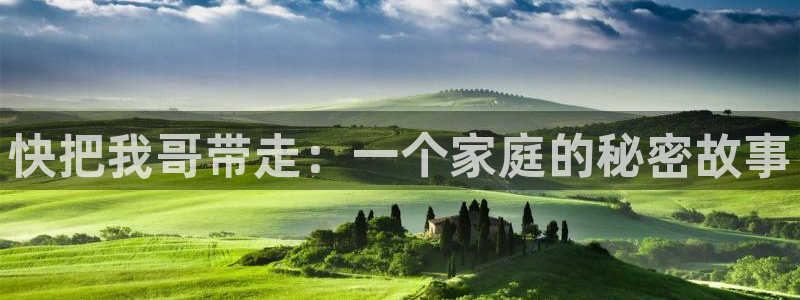 漫蛙韩漫版：快把我哥带走：一个家庭的秘密故事